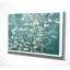 «Almond Blossom White Shadows II», reproduction sur toile-20748649