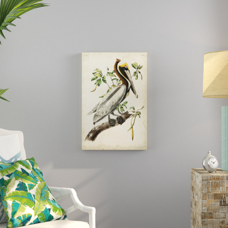 Brown Pelican by James Audubon - Painting Print, Wrapped Canvas, 76cm H x 51cm W