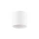 Squat LED Cylinder Outdoor Flush Mount