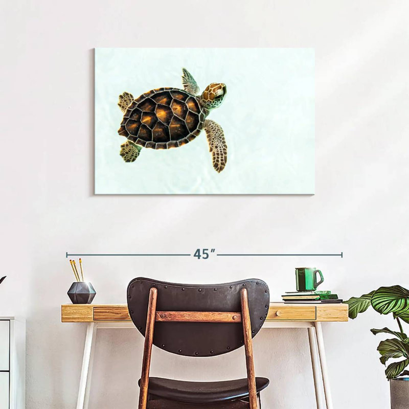 Brampt Baby Turtle, 24" H x 36" W