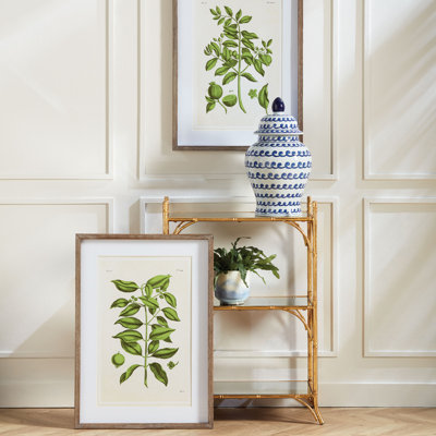 GUAVA PRINTS