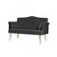 Black Velvet Loveseat Sofa
