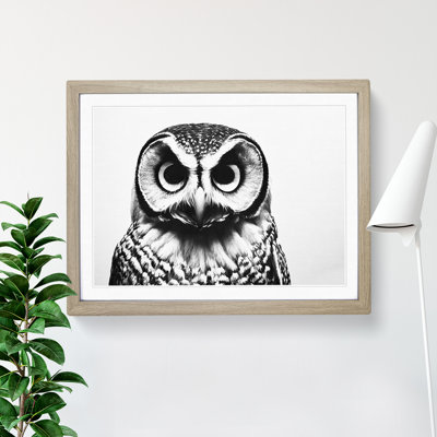 Barn Owl Monochrome 1 Piece Single Picture Frame Painting