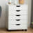 5 Drawer Storage Drawer