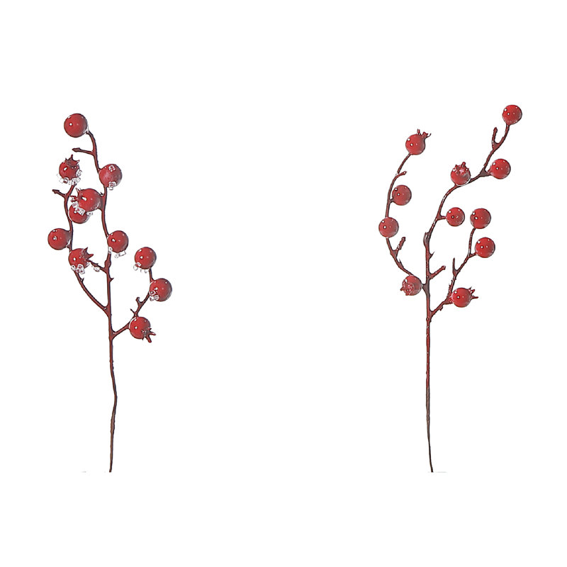 Cueillette de baies rouges - ensemble de 12