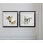 Animals 2 - Piece Framed Art-27611459