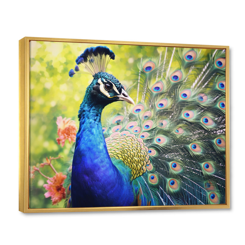 «Vibrant Peacock I» - art mural paon, H 16 po x l 32 po x P 1 po, Cadre flottant doré