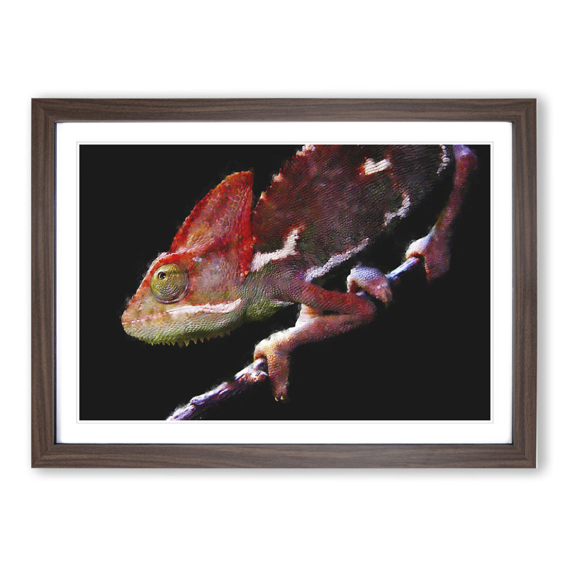 Chameleon Lizard Vol.2 - Framed Print, 27cm H x 36cm W x 2cm D, Walnut Framed