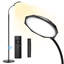 Daugirdas 150cm Arched Floor Lamp