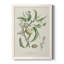 Antique Ammond Botanical IV, reproduction d'art sur toile-88381029-88381035