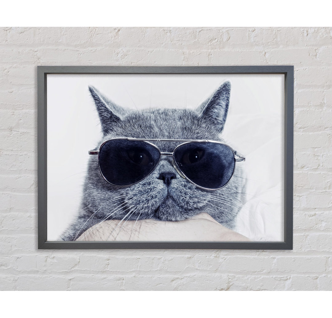 Kitty Cat Cool - Einzelner Bilderrahmen Kunstdrucke auf Leinwand