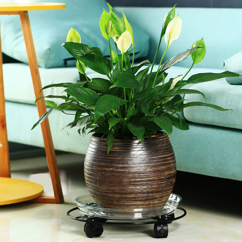 Support pour plante Meendert