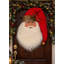 Christmas Woodland Santa Head