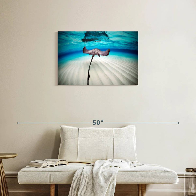 Paysage sous-marin Braming Stingray, H 20 po x l 30 po