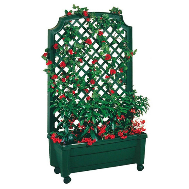 Brandun Planter Box with Trellis, Green