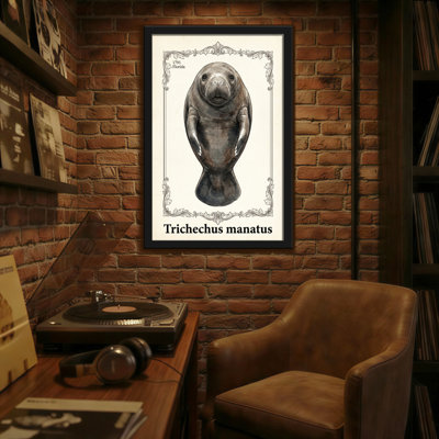 Animals Manatee Portrait With Ornate Frame And Scientific Name