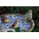 Aged Ceramic Bird Bath