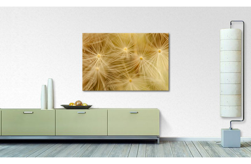 Wrapped Canvas Print, 80cm H x 120cm W x 2cm D