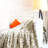 Standard Throw Blanket-29998570-29998569