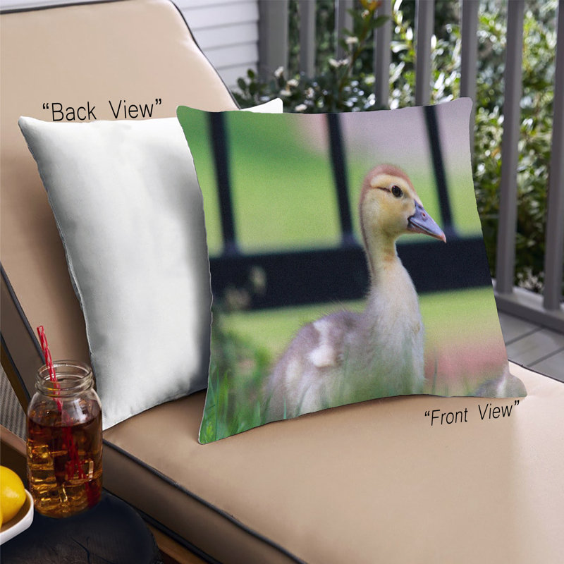 Throw Pillow, Synthetic