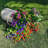 Noriega Wheelbarrow Planter