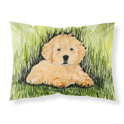 Microfiber