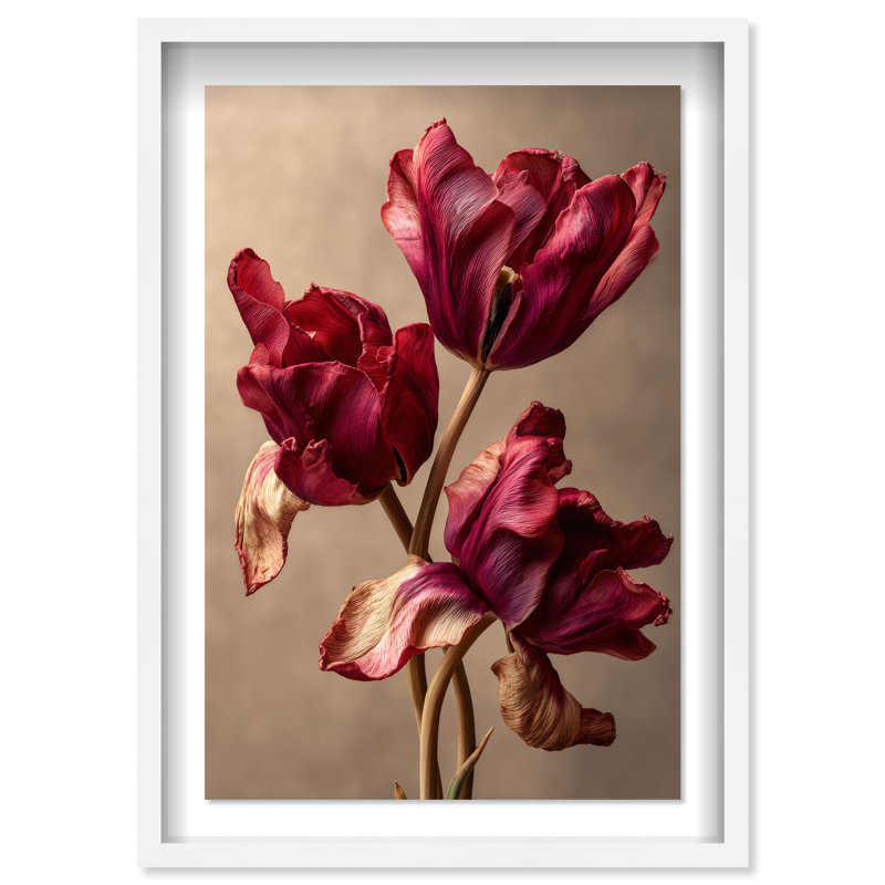 Dark Silk Remains Print by Oliver Gal, 11.5"H x 16.5"W, White Shadowbox