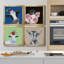 «Playful Nature», ensemble de 4 cadres photo sur toile-1490637122-1490637123
