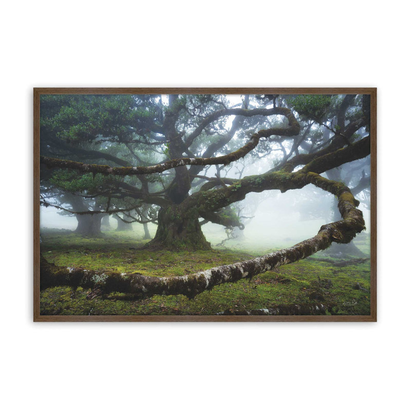 «Embracé par Martin Podt», reproduction d'art, L 36 x H 24, Brun, Impression encadrée
