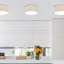 Aulelei Flush Mount-1819248898