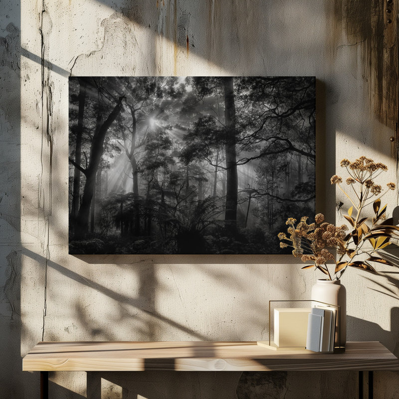 Wrapped Canvas Print, 50.8 cm H x 76.2 cm W