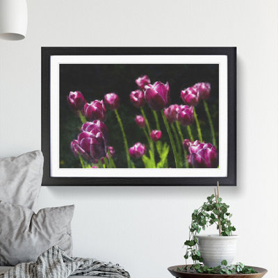 Pink Tulip Flowers - Framed Print