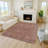 Machine Washable Indoor/Outdoor Kaczor ACN2231 Global Rug-1506870427