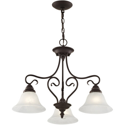 3 - Light Classic / Traditional Chandelier