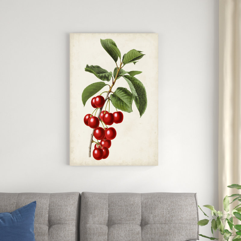«Antique Fruit II» par Vision Studio - peinture sur toile tendue, H 12 po x l 8 po x P 1,25 po