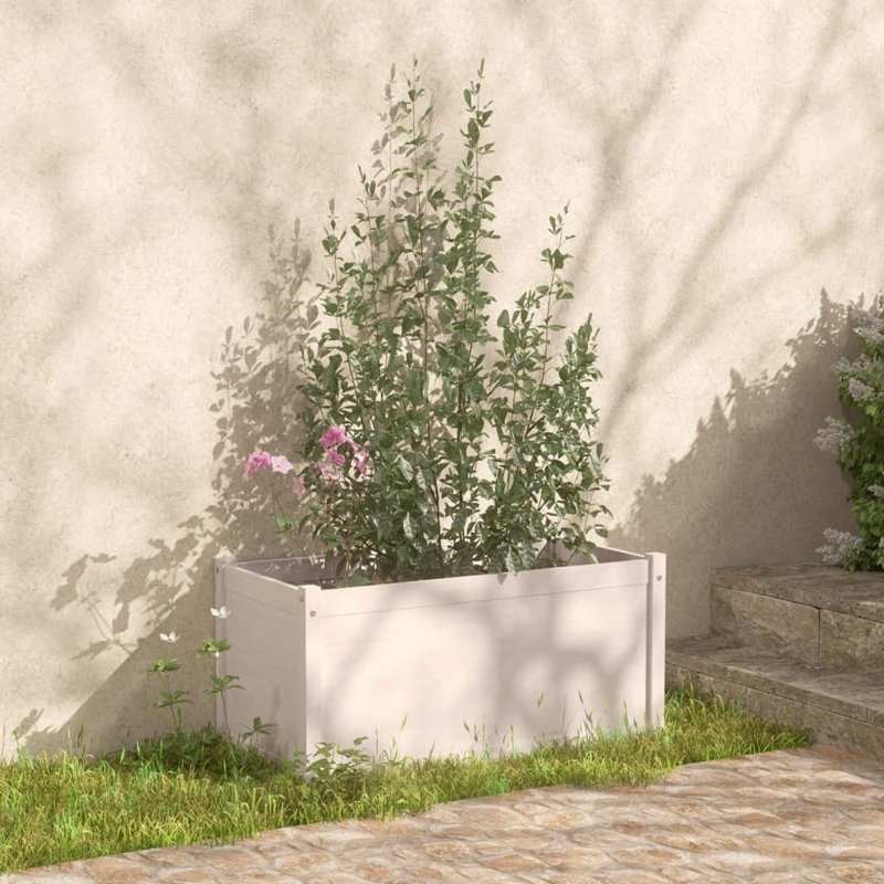 Boîte à fleurs en bois Lisbon, Blanc, H 15,7 po x l 15,7 po x P 15,7 po