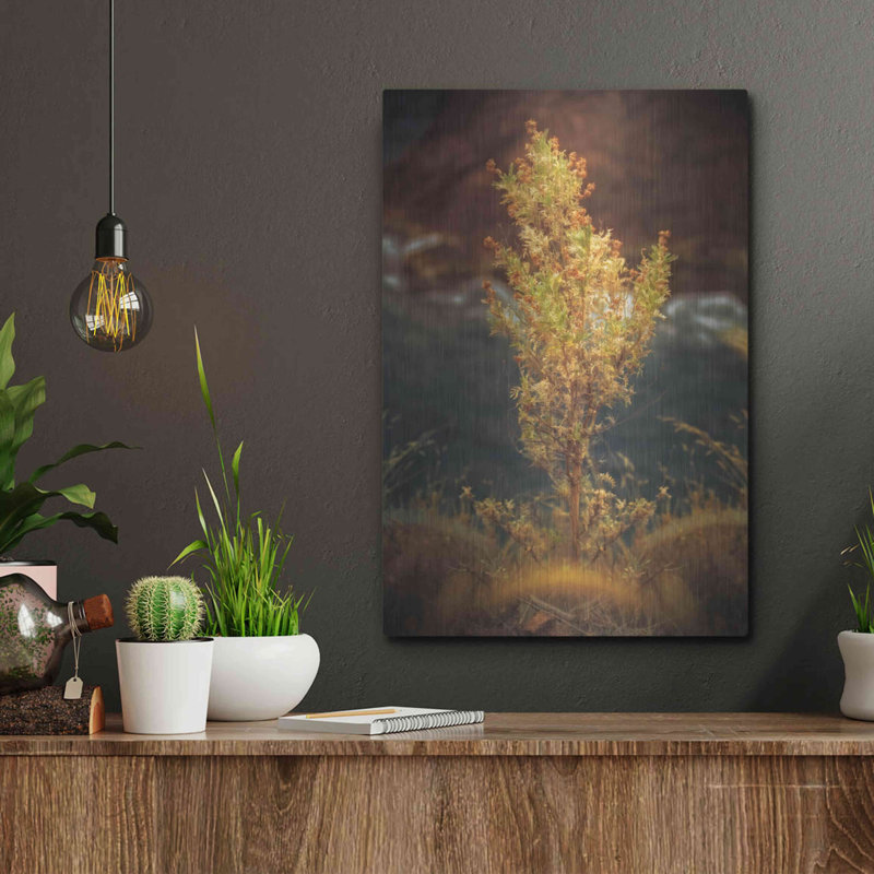 «View Point» par Sebastien Lory, H 16 po x l 12 po
