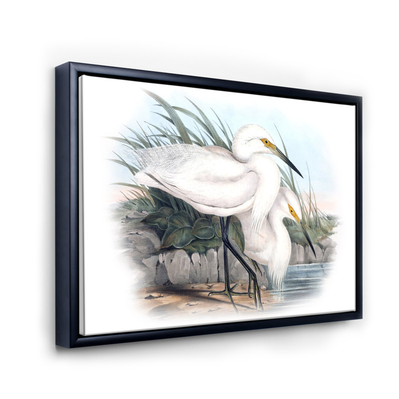 Vie d'oiseau rétro I - peinture sur toile, H 24 po x l 32 po x P 1 po, Cadre flottant noir