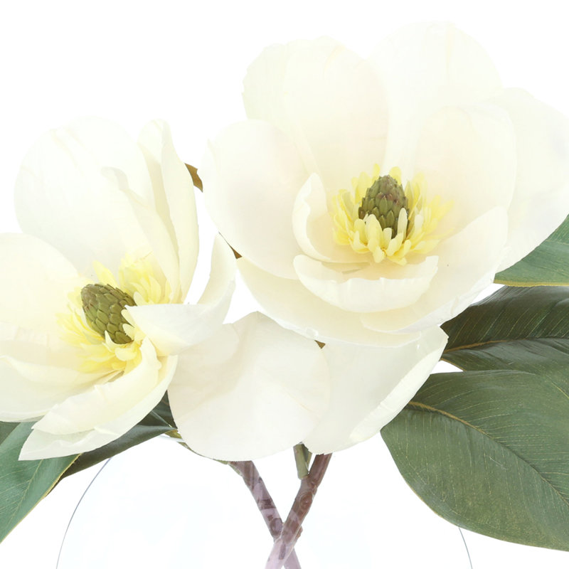 Magnolias disposés dans un vase de lune en verre