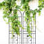 Treillis de jardin en métal 71 po x 19,7 po, paquet de 2, rouille - pour l'extérieur et concombre, noir, facile à assembler, solide antirouille 71 po x 19,7 po, 2, lierre, construction, stable