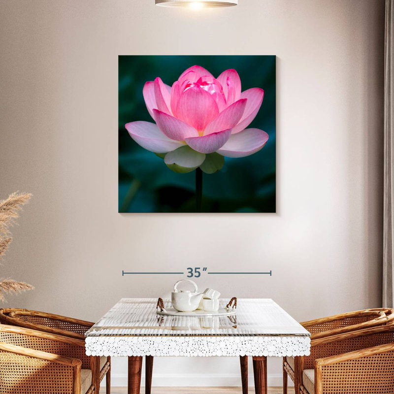 Harnek Delicate Lotus