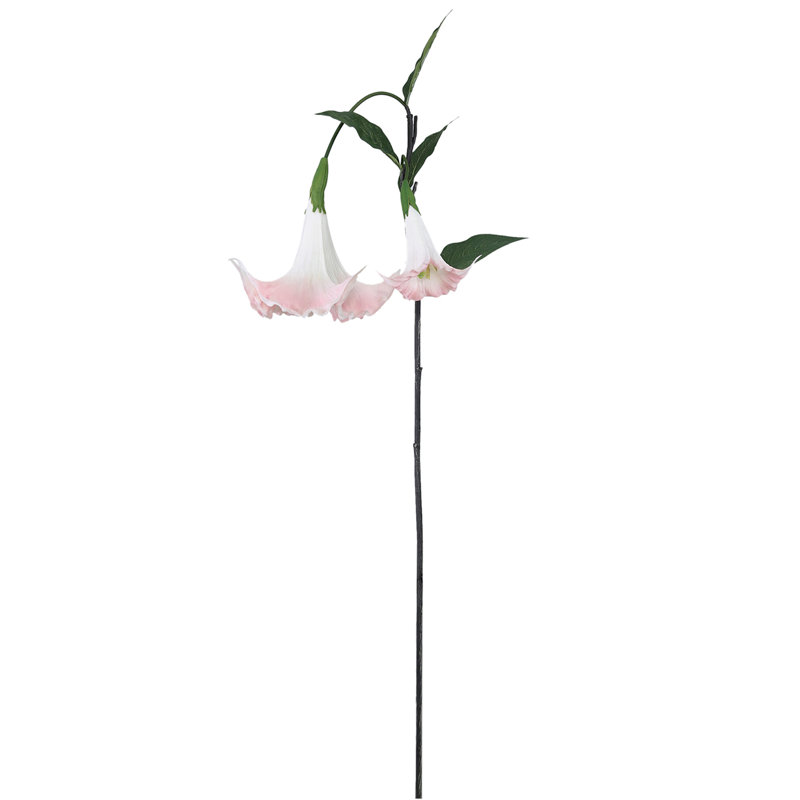 Arrangement, Pink