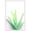 « agave », reproduction d’art encadrée-22987882