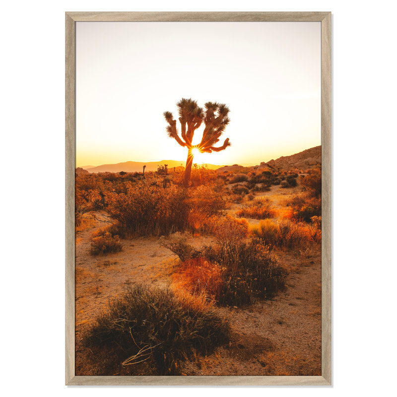 «Desert Dawn» par Joshua Earle - reproduction imprimée, H 48,5 po x l 34,5 po x P 0,75 po, Cadre plat naturel, Pas de tapis