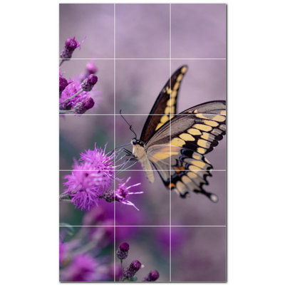 Butterfly Photo 6'' x 6'' Satin Ceramic Decorative Mural