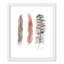 Juvenile feathers Feathers II Framed Art-47566080-47533920