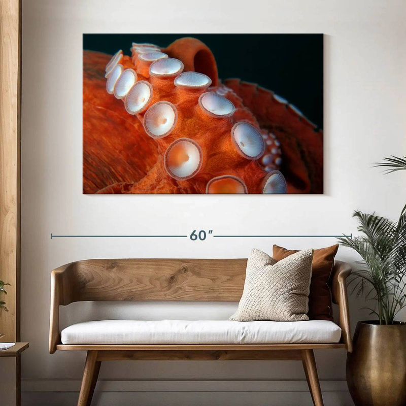 Brampt Japanese Octopus Tentacles, 32" H x 48" W