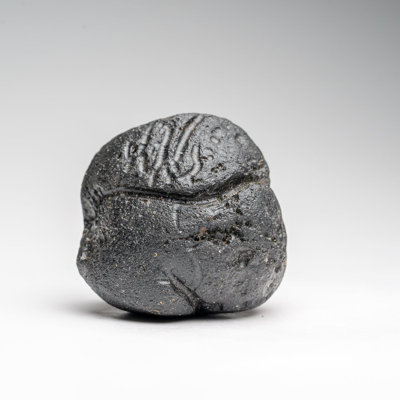 Genuine Museum Quality Indochinite Tektite (177 Grams)