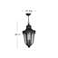 Trafalgar 3 -Bulb 24.75" H Outdoor Hanging Lantern-103666413-103666412-103666409