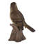Statue sur pied songbird sur les souches
